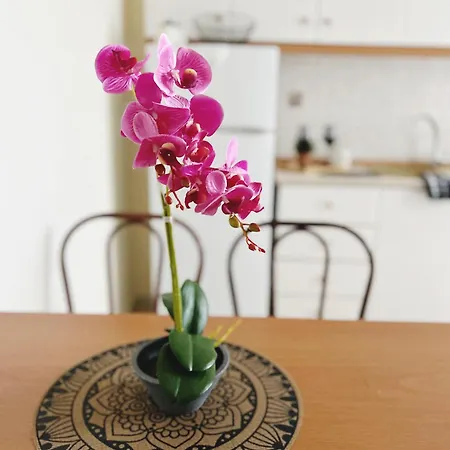Apartment Hermanos