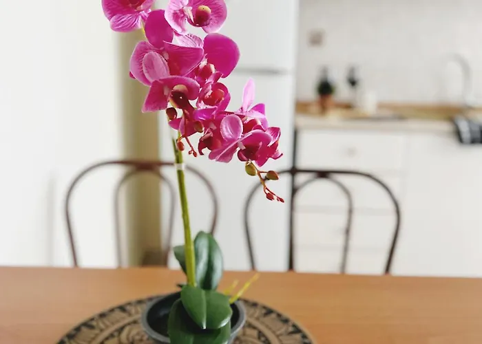 Apartament Hermanos
